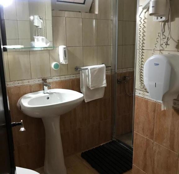 Pensiunea Cerbul Carpatin