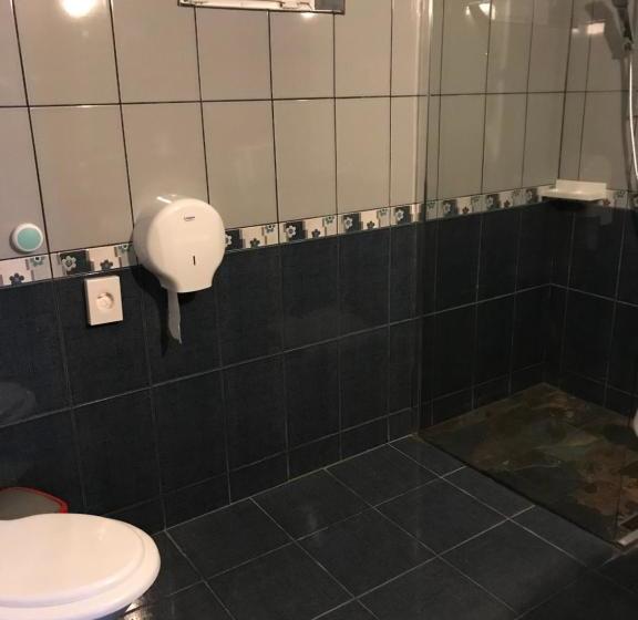 Pensiunea Cerbul Carpatin