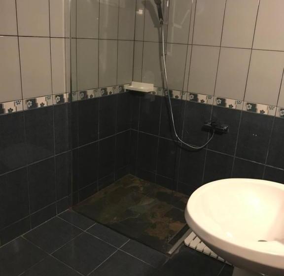 Pensiunea Cerbul Carpatin