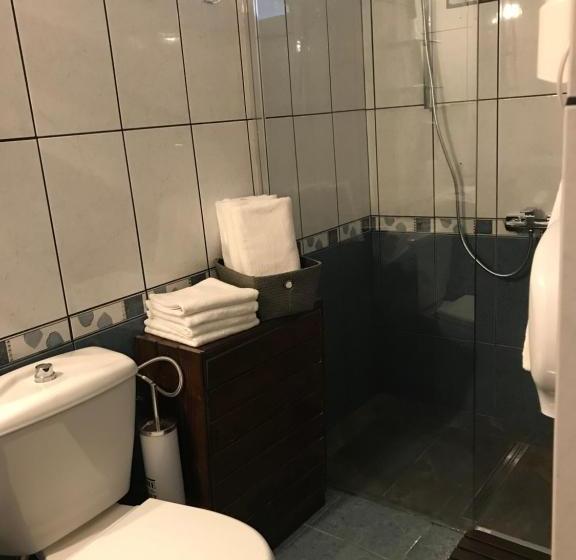 Pensiunea Cerbul Carpatin