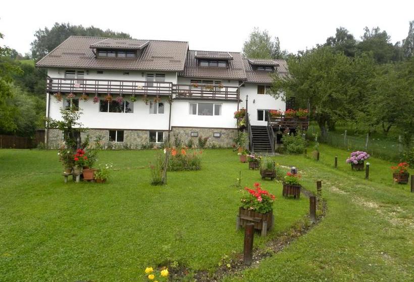 Pensiunea Cerbul Carpatin