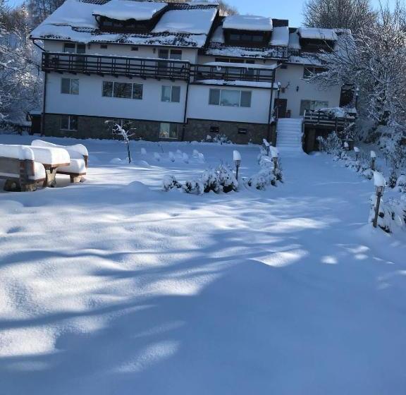 Pensiunea Cerbul Carpatin