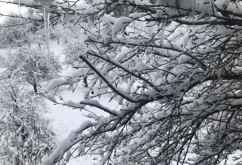 Pensiunea Cerbul Carpatin