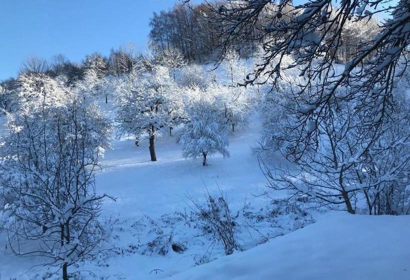 Pensiunea Cerbul Carpatin