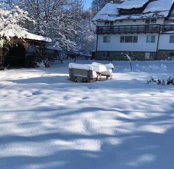 Pensiunea Cerbul Carpatin