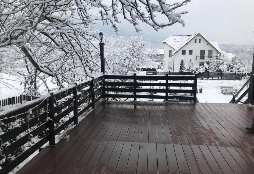 Pensiunea Cerbul Carpatin