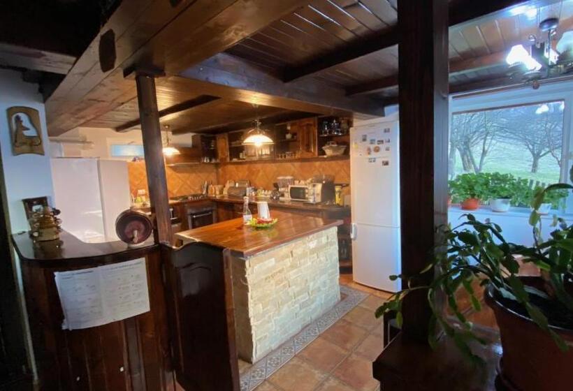 Pensiunea Cerbul Carpatin