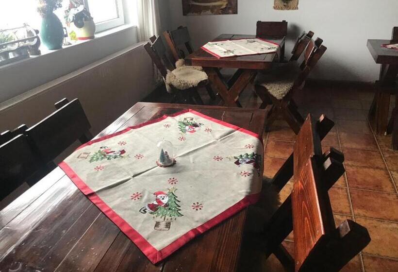 Pensiunea Cerbul Carpatin