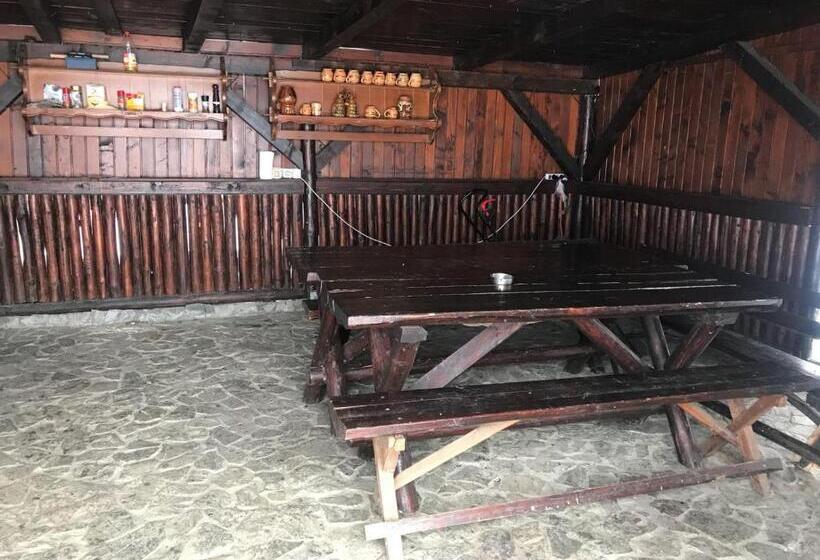 Pensiunea Cerbul Carpatin