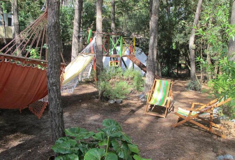 Rincón De Los Vientos