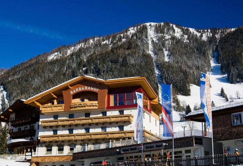 فندق صغير Barbarahof