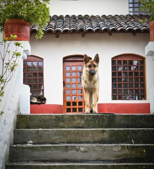 هاستل Hacienda San Isidro Trails & Experiences