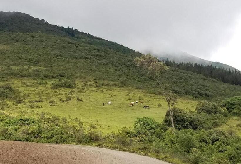 هاستل Hacienda San Isidro Trails & Experiences