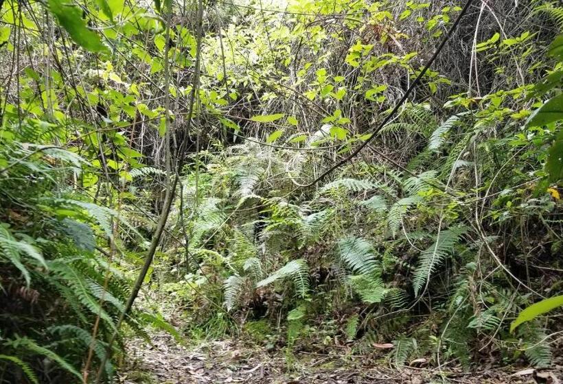 هاستل Hacienda San Isidro Trails & Experiences