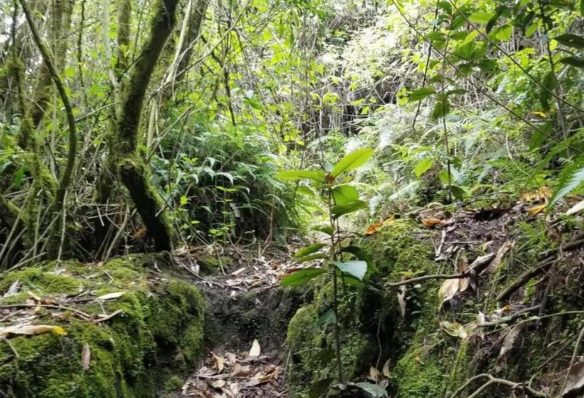 هاستل Hacienda San Isidro Trails & Experiences