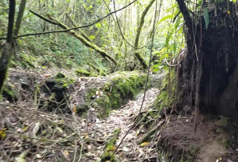 هاستل Hacienda San Isidro Trails & Experiences