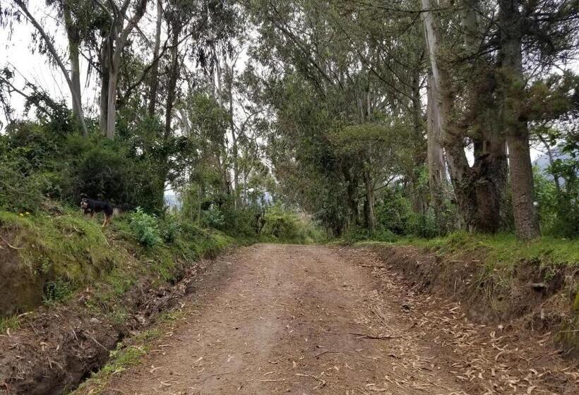 هاستل Hacienda San Isidro Trails & Experiences