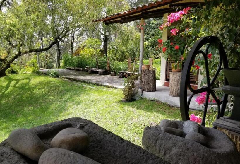 هاستل Hacienda San Isidro Trails & Experiences