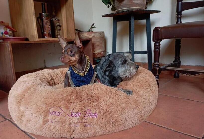 هاستل Hacienda San Isidro Trails & Experiences