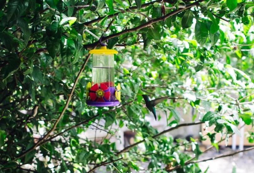 旅馆 Hostería La Península