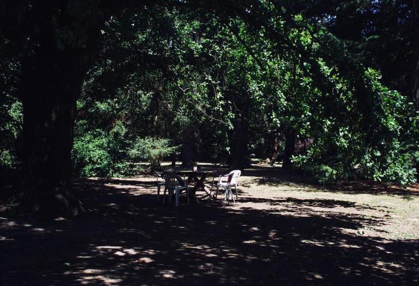 旅馆 Hostería La Península