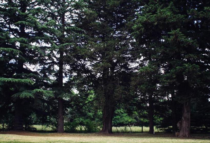 旅馆 Hostería La Península