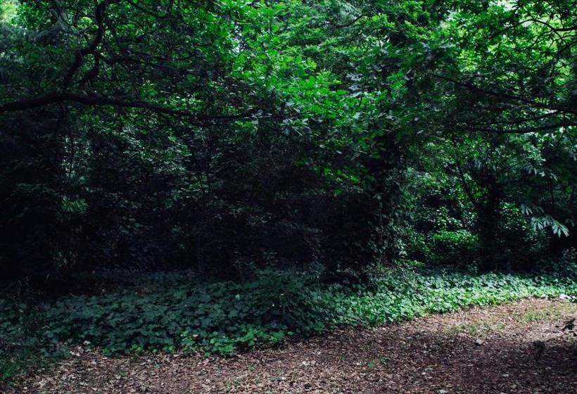 旅馆 Hostería La Península