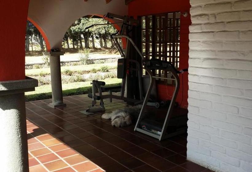 Общежитие Hosteria San Carlos Tababela