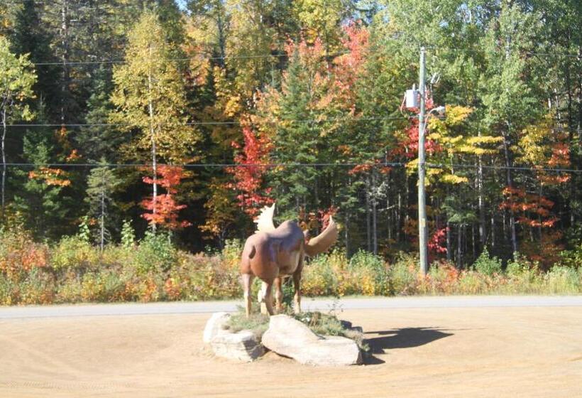 הוסטל L'auberge Refuge Du Trappeur