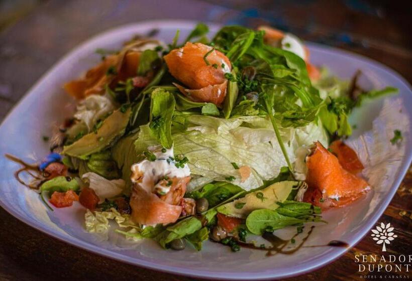 Общежитие Senador Dupont