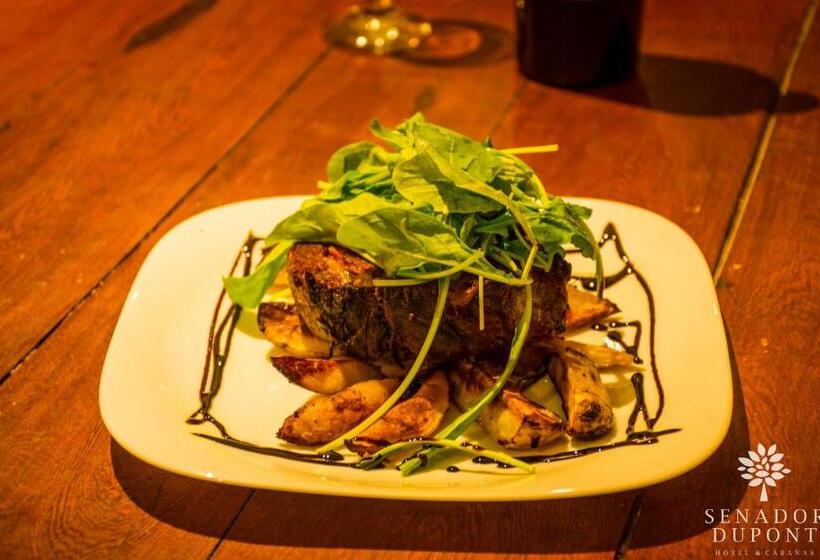 Общежитие Senador Dupont