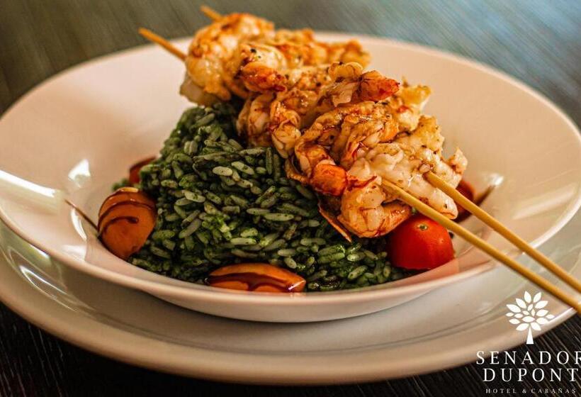 Общежитие Senador Dupont