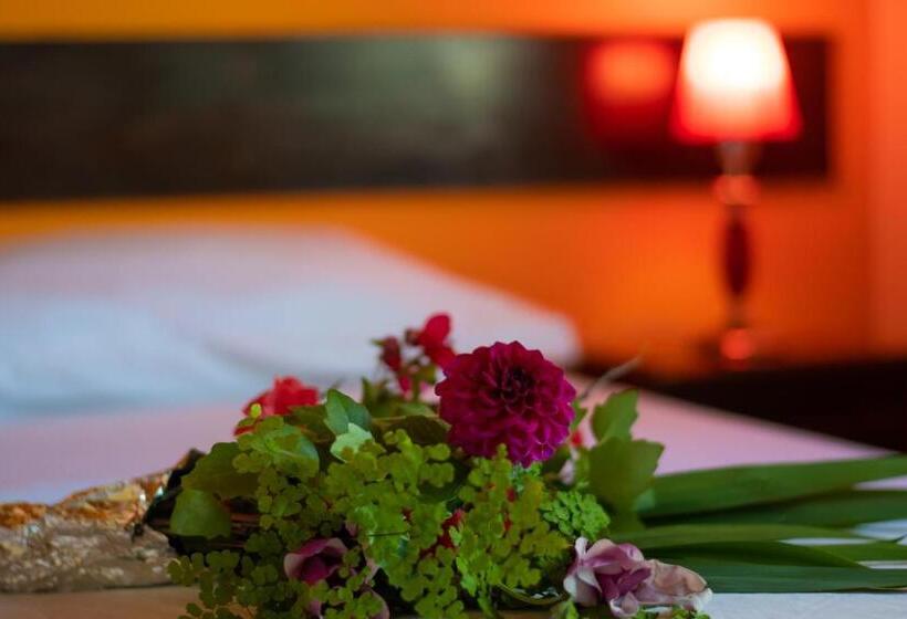 Общежитие Senador Dupont