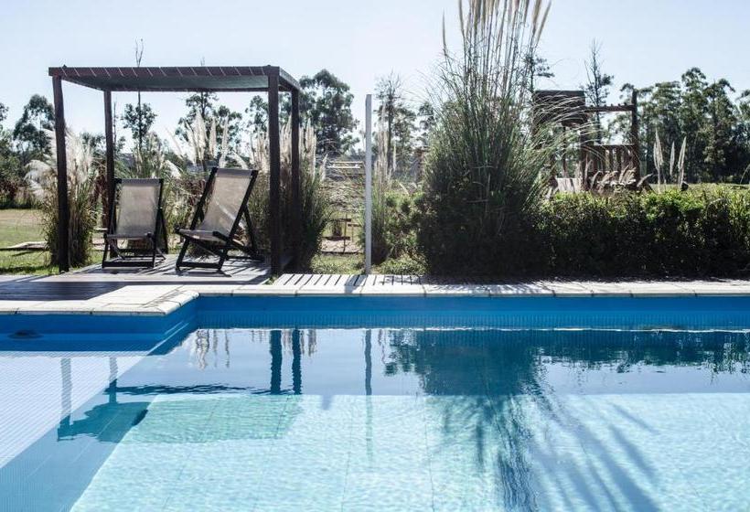 Amanzi Termal Rental