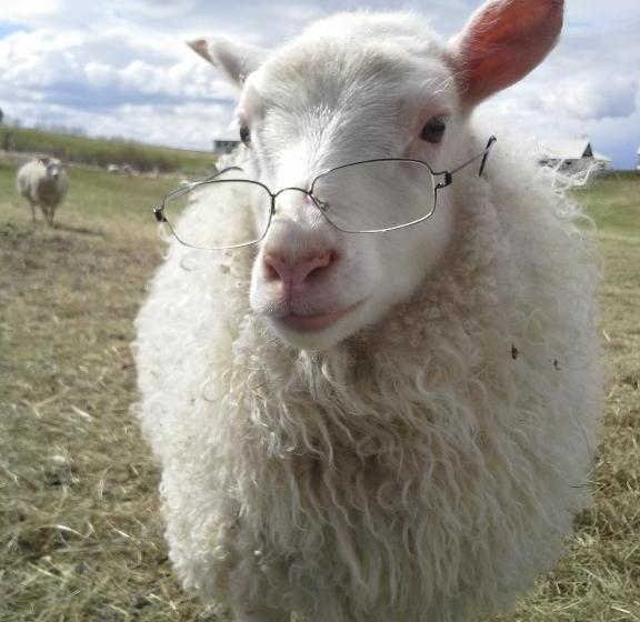 هتل Guesthouse Steindórsstadir, West Iceland