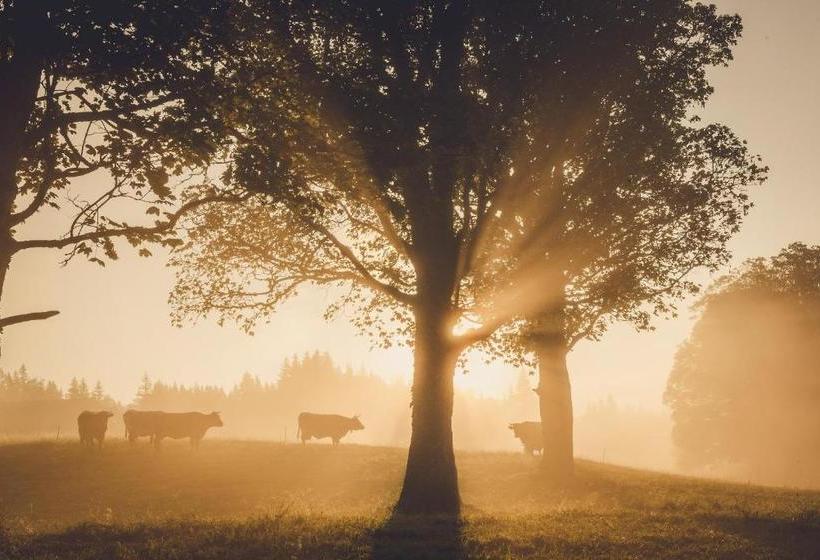 בית מלון כפרי Linharterhof