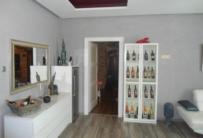 Luxusni Apartmany Stodolni