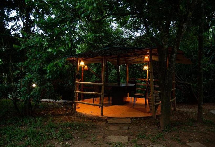 Orchid Trails Resort