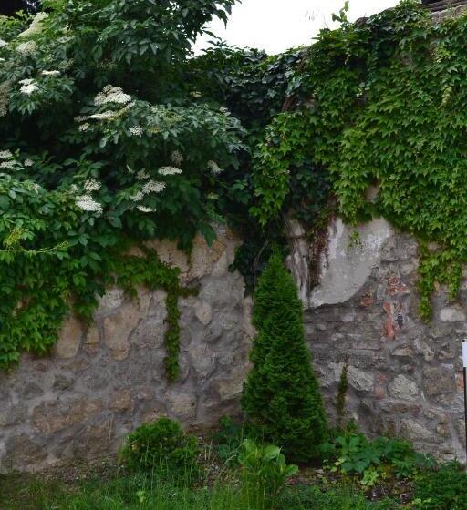 פנסיון Althann Vendégház és Konferencia Központ