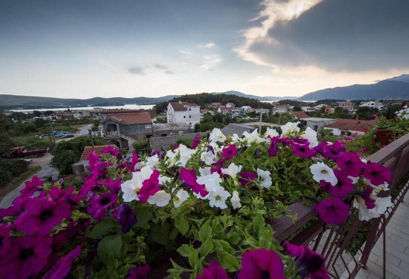 بنسيون Apartments Pavićević