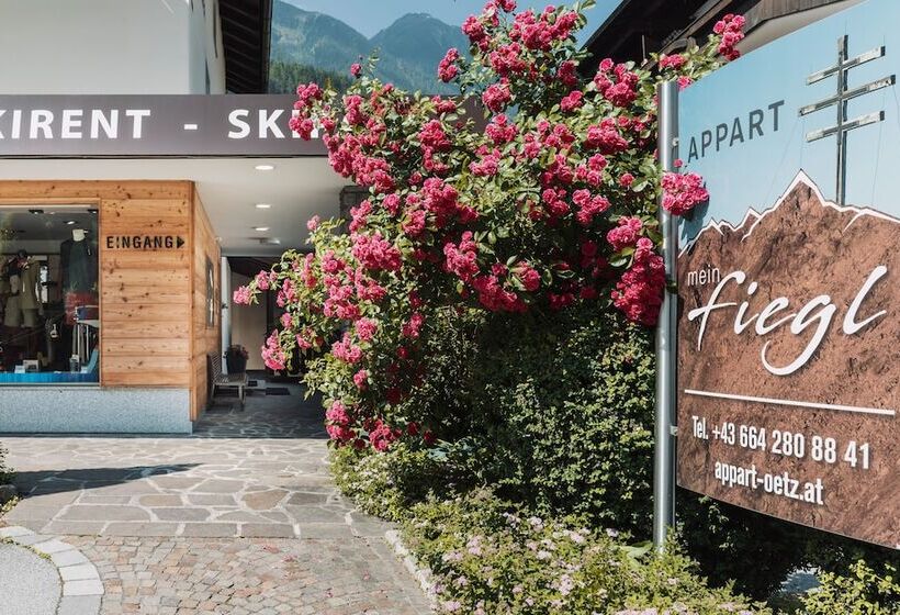 膳宿费 Appart Mein Fiegl