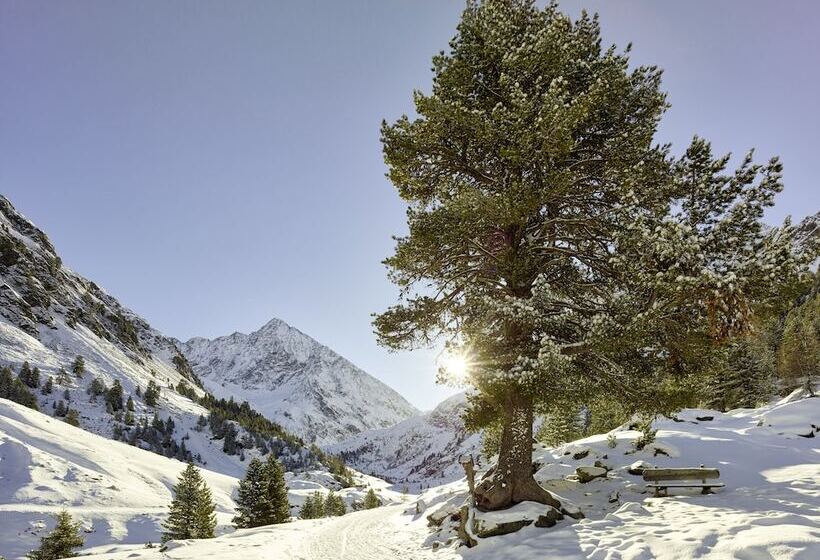 膳宿费 Appart Mein Fiegl