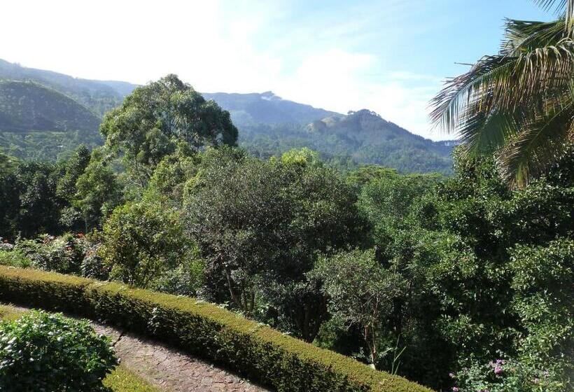 Пансион Ashburnham Tea Estate