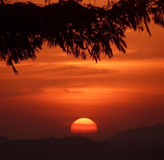 Пансион Ashburnham Tea Estate