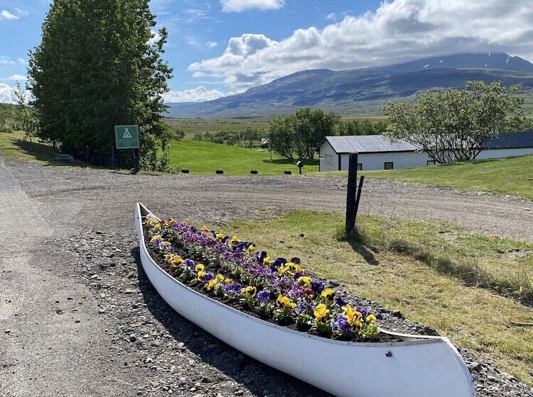 پانسیون Bakkaflöt Guesthouse