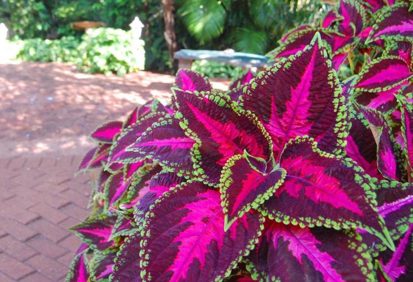 膳宿费 Bezuidenhout Guest House