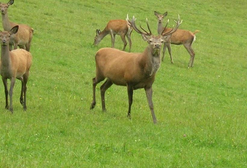 펜션 Bioalm Wassermann Wirt