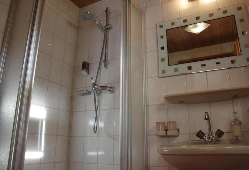 פנסיון Birkenheim Widmann