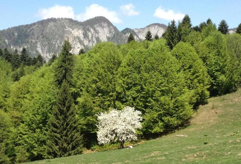 بنسيون Cabana Poiana Secuilor