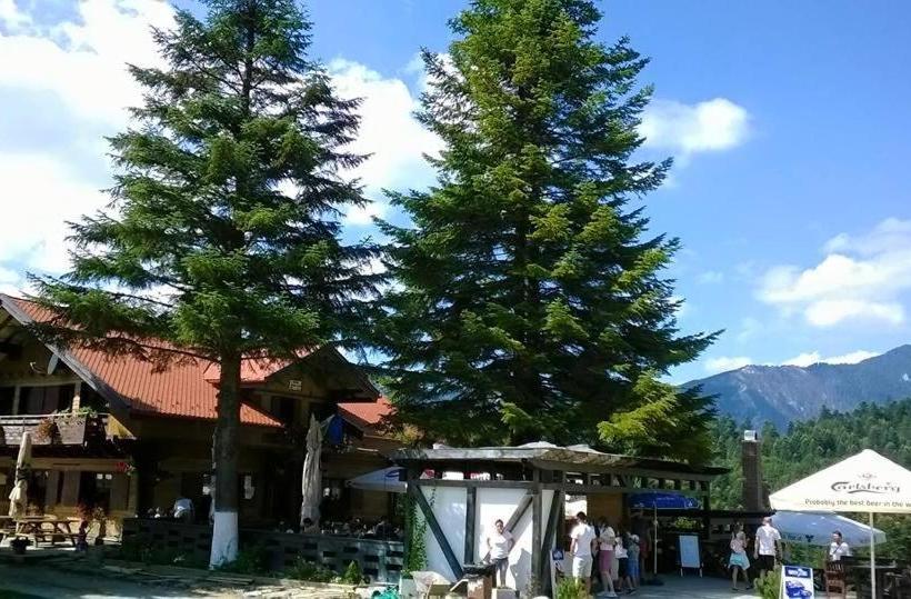 بنسيون Cabana Poiana Secuilor